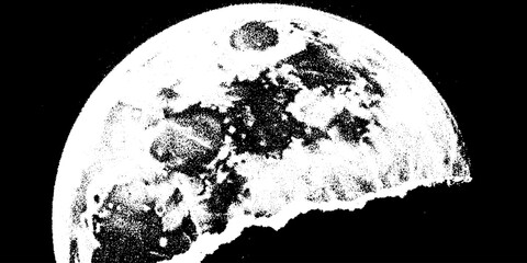 Wall Mural - High contrast wolf moon with tree branch silhouette in black and white