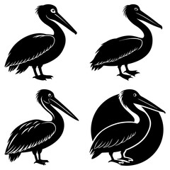 Poster - Four stylized pelican silhouettes in black and white showcasing different poses and compositions artfully