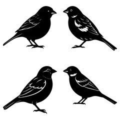 Leinwandbilder - Silhouette illustration showcasing four birds in various poses on a white background image scene