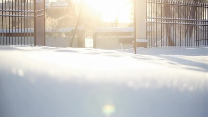 Wall Mural - winter sunlight filtering through weathered wooden gate, illuminating snow blanketed urban scene wit