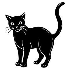  Haunted Feline Silhouette