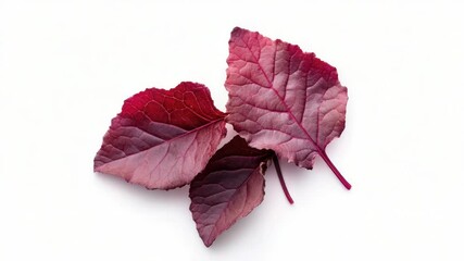 Poster - A close-up of two red leaves lying on a white surface, perfect for use in designs and projects where a pop of color is needed