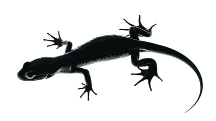 Wall Mural - Salamanders silhouette isolated in White background