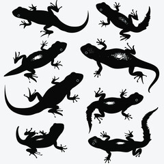 Wall Mural - Salamanders silhouette isolated in White background