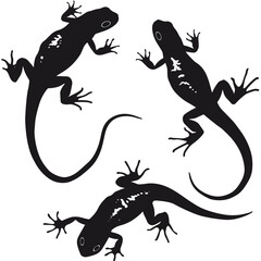 Wall Mural - Salamanders silhouette isolated in White background