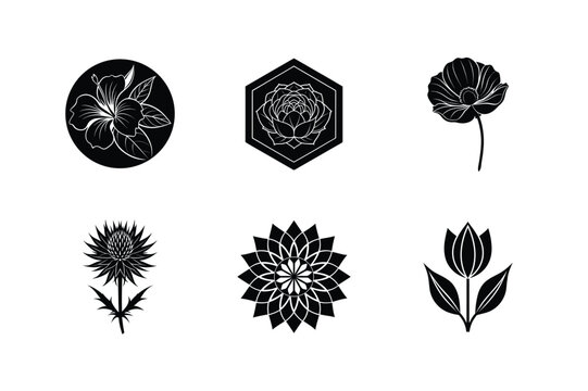 Six black and white floral designs set