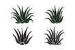 © Sadek - Aloe Vera Plant Icon Set in Silhouette and Line Art Style