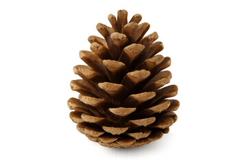 Fototapete - Pine cone isolated on transparent background, perfect for nature-themed projects and christmas decorations