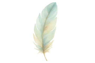 Poster - watercolor painting of a light blue and beige feather floating on a transparent background, ideal fo