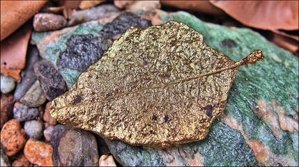 Poster - Unique Golden Leaf Resting on Vibrant Stone Surface in a Natural Setting