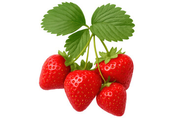 Fototapete - Ripe red strawberries dangling on vine with verdant foliage, clean background highlighting natural freshness and nutritional appeal
