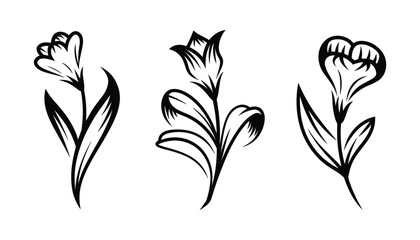 Poster - Floral set includes flowers with leaves in outline style. Great for botanical, nature, and spring-themed designs and illustrations.
