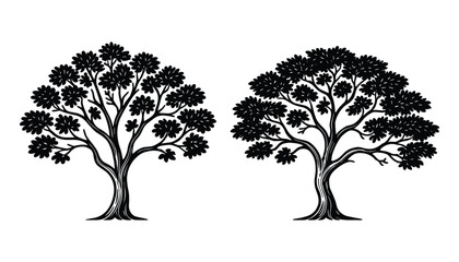 Poster - Two tree silhouette illustrations with detailed foliage. Ideal for landscape designs, nature projects, and background elements.
