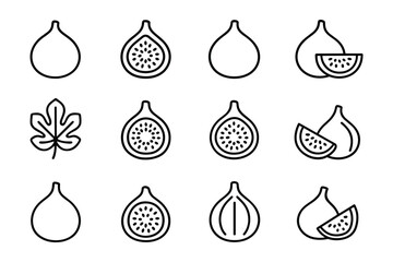 Poster - Fig fruit vector illustration set. Isolated outline drawing art on white background. Fig elements for healthy food design.