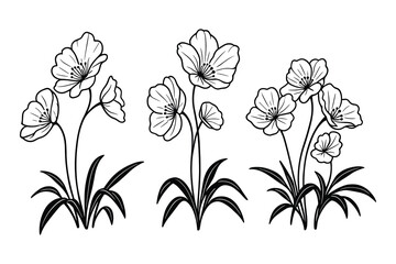 Poster - A set of elegant floral arrangements in line art style. Ideal for botanical illustrations and decorative designs. Isolated on white background.