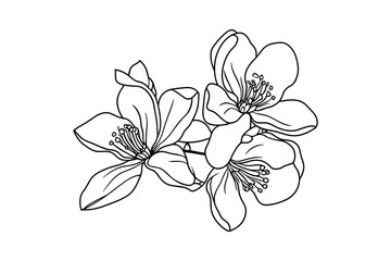 Poster - Detailed Flower Blossom Line Art Vector Graphic Illustration