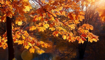 autumn leaves on the tree