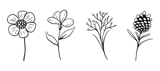 Poster - A collection of botanical line art featuring various flowers and plants. Perfect for nature-themed designs, illustrations, and decorative elements. Simple and elegant.