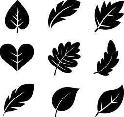Poster - vector leaf collection graphic design elements nature foliage botanical illustration set isolated on