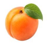 apricot isolated on transparent background