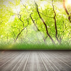Poster - Vector flat design is depicting plank deck meeting grassy edge under forest canopy with lens flares