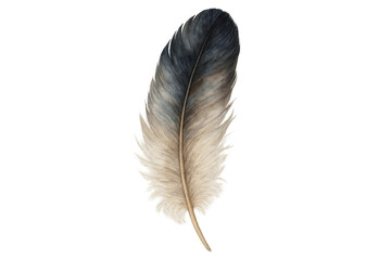 Poster - Delicate watercolor feather painting revealing subtle textures and pastel shades, floating against transparent backdrop