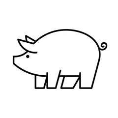 Poster - Pig Logo. Icon design. Template elements
