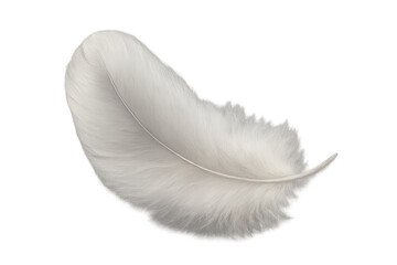 Poster - Single white feather with transparent background, ideal for graphic design projects related to lightness, purity, and softness