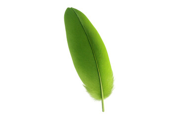 Poster - Green feather with transparent background, perfect for graphic design projects related to nature, birds, or softness