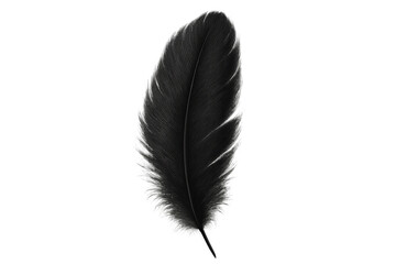 Poster - Realistic black feather lying softly against transparent surface, highlighting minimalist design with refined, airy aesthetic