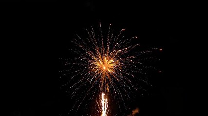 Wall Mural - fireworks in the night sky with a black background