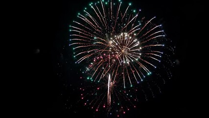Wall Mural - fireworks in the night sky with a black background