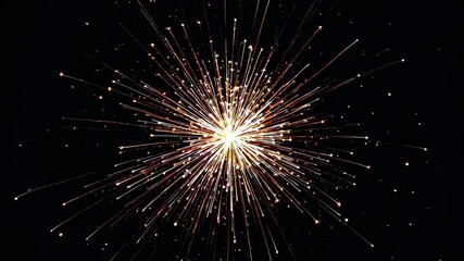 Wall Mural - fireworks is lit up in the dark sky with a black background