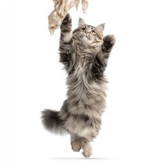 Poster - Playful Cat Leaping in the Air to Catch Paper, Capturing the Joy and Energy of Pets in a Bright and Fun Indoor Setting