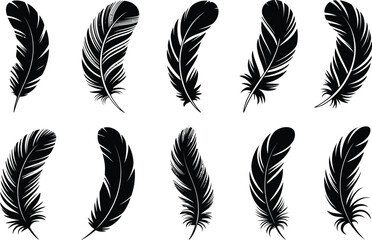 Poster - Elegant black feather silhouettes arranged beautifully on a clean white background for design purposes