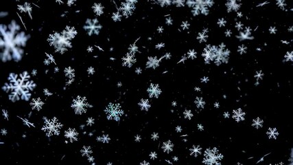 Wall Mural - snow flakes falling from the sky in a black background