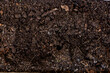 © Akrapong - Dark Rich Organic Garden Soil Background Texture