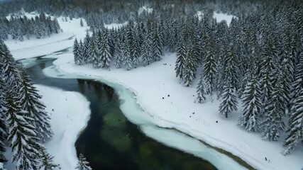 Wall Mural - arafed view of a river running through a snowy forest