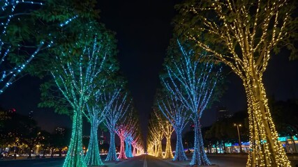 Wall Mural - trees with blue lights in a park at night