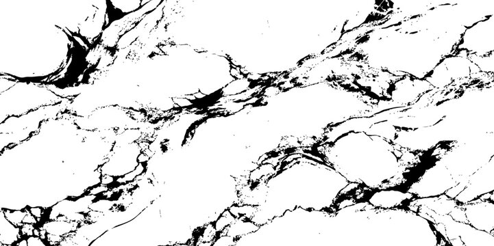 Minimal black and white marble texture with fine organic veining and flowing abstract patterns. Perfect for modern backgrounds, elegant surfaces, or artistic design elements.