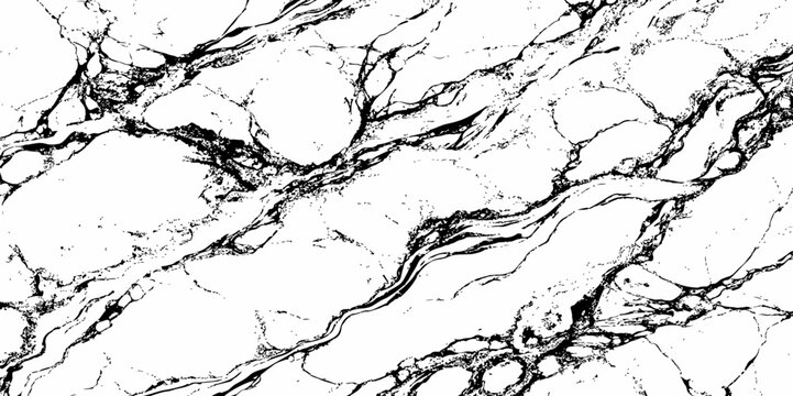 Minimal black and white marble texture with fine organic veining and flowing abstract patterns. Perfect for modern backgrounds, elegant surfaces, or artistic design elements.