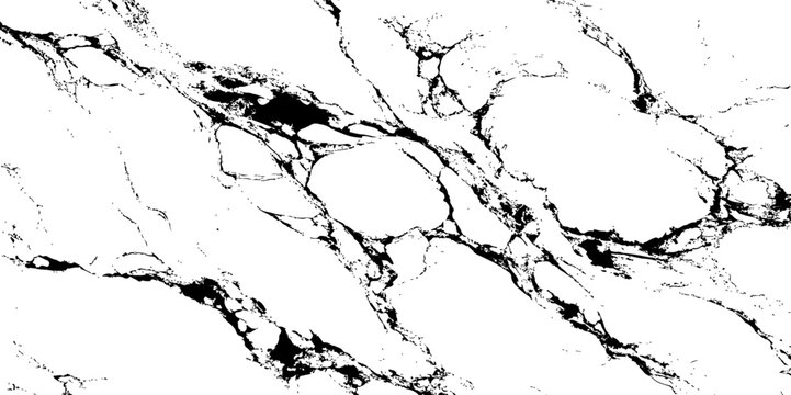 High-contrast black and white marble texture with natural stone veins. Abstract background ideal for modern design, digital art, print materials, and luxury branding projects.