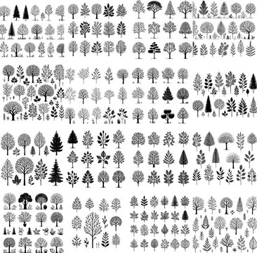 Minimalist black and white line art of trees in botanical outline vector style