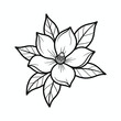 © Mst - Elegant Magnolia Flower Outline Illustration with Detailed Leaves and Petals