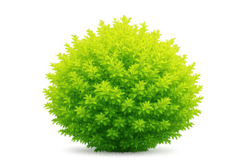 Poster - Lush, round bush with vibrant green foliage, isolated on a transparent background, perfect for landscaping and design projects