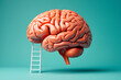 © MD - Brain Development A Conceptual Image of a Brain with a Ladder Leaning Against It Symbolizing the Process of Learning Growth and Cognitive Enhancement on a Teal Background