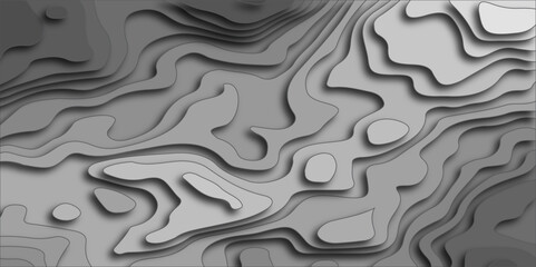Poster - Background with lines, modern black carve wave line. Abstract luxury papercut background. Minimal topography map, light shadow landscape wave element curve graphic design.