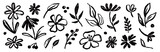 Flower brush hand drawn vector set. Hand drawn doodle flower, floral leaf elements in brush stroke ink style. Simple abstract botanical silhouette set for nature black paint art. Vector illustration Flower brush hand drawn vector set. Hand drawn doodle flower, floral leaf elements in brush stroke ink style. Simple abstract botanical silhouette set for nature black paint art. Vector illustration