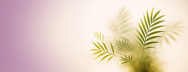 Poster - Minimalist plant leaf background with soft light and shadow on pastel gradient, ideal for design mockup, poster, or advertising template.