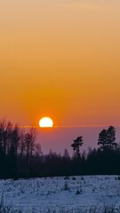 Wall Mural - Vertical golden winter sunset timelapse over snowy field and forest silhouette. Tranquil nature scene with orange sky and large sun disc setting behind clouds and forest.
